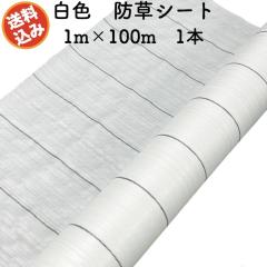 �h���V�[�g ���F�i�T���z���C�g�j 1m�~100m 1�{ �R�ۍ� UV�ܓ��� ���� ���}�� �����V�[�g �G���΍� ���� ���z�� ��� �� �_�� �_�� ���| 