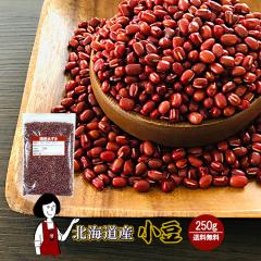 kCY  250gk`bNtl^ߘa6NY 2024N [  `bNt V    킯