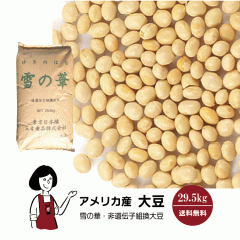 �A�����J�Y�哤�@��̉؁@29.5kg�^��30kg ��z�� �������� �哤 �C���f�B�A�i�Y ���ڑ哤 �o���G�e�B�[�哤 ��̉� ���`�q�g�� ������ 