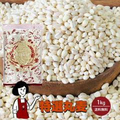 I۔@1kgk`bNtl  [  `bNt Y I 唞 H@ OJ 킯