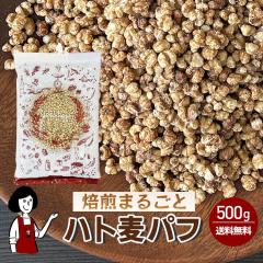 ܂邲ƃngpt 500g^ `bNt  Y Y _ mtC XibN ͂Ƃނ Hׂe NCj e 