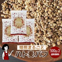 ܂邲ƃngpt 500g~3܁^ `bNt  Y Y _ mtC XibN ͂Ƃނ Hׂe NCj 