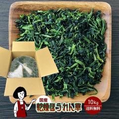 �����ق���� 10kg�^���Y  ������� �z�E������ ��z�� ��������   �{�C���ς� �ۑ��H �h���C�x�W �A�E�g�h�A �L�����v ���ԒZ�k �X�[