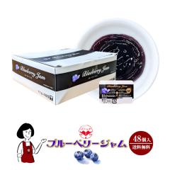 L[s[ u[x[W 11g~48 ^  pLbe fBXypbN  g؂    eCNAEg ٓ W 