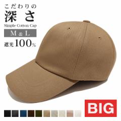 Lbv Y LTCY [ Rbg Vv [֑ t H~ uv Ռ100 n Xq 100 [ TCY 傫 