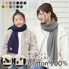 y}t[ LbY RbgzH~  [֑ fB[X 100 eq 낢 qǂ Y `N`NȂ j  