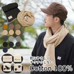 y}t[ Xk[h RbgzY j H~  fB[X 100 [֑ `N`NȂ  Vv n 