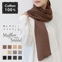 y Xk[h }t[ Rbg zH~  fB[X Y 100 `N`NȂ  [֑ j  Vv 