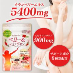 大豆イソフラボン サプリメント サプリ 大豆イソフラボン クランベリー ベリー 女性 ペポカボチャ マカ 山芋 生姜 サジー シーベリー 人