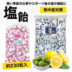���� �Ɩ��p � ������ 1kg �������� �M���Ǒ΍� �~�� �L�����f�B�[ �� ���� �����⋋ �� ����� �܂Ƃߔ��� ���L�����f�B�[ �Ɩ��p