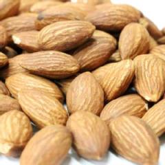 A[h fĂ 500g@ܖ2026.1.13