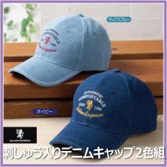 �h���イ����f�j���L���b�v 2�F�g SALOON EXPRESS/�T���[���G�N�X�v���X (AS-0026)�y���������z