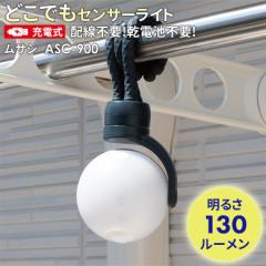 �y43�������z �l���Z���T�[���C�g ���O �h�ƃ��C�g ���T�V RITEX �[�d���ǂ��ł��Z���T�[���C�g�iASC-900�j �[�d�� LED���C�g ���� �K��