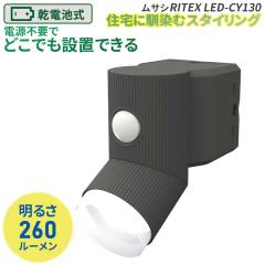 �y40�������z �l���Z���T�[���C�g ���O �h�ƃ��C�g ���d�r�� LED�Z���T�[���C�g ���T�V RITEX 4.5W�~1�� LED���d�r�V���v���X�^�C���Z��