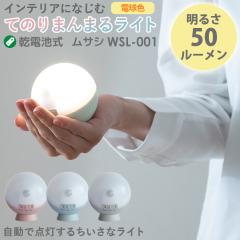 �l���Z���T�[���C�g �h�ƃ��C�g ���d�r�� LED�Z���T�[���C�g ���T�V RITEX �Ă̂�܂�܂�Z���T�[���C�g�iWSL-001�j 6�����ۏؕt ���d�r