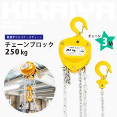 �`�F�[���u���b�N 250kg �y�� ���^ �~�j �蓮�� �`�F���u���b�N �z�C�X�g�N���[�� KIKAIYA