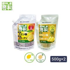 �R�₵�ܐ�� 500g�~2�� �N�G���_ ���� �X�|�[�c�h�����N �����⋋ �O���R�T�~�� �I���j�`�� �}���`�r�^�~�� �~�l���� ���� �}���\�� �^