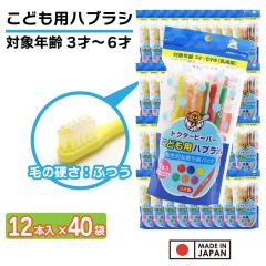 ���u���V �q���p �ӂ� 480�{(12�{����~40��) 3�ˁ`6�� ���ǂ��p�n�u���V ������ �L�b�Y � ���{��