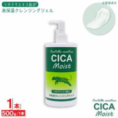 CICA Moist ێNWOWF 500g NWOQ c{NTGLXz {