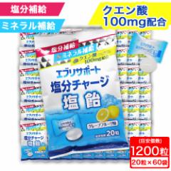 GuT|[g `[W  O[vt[c ڈ1200i20~60܁j⋋ ~l NG_100mgz