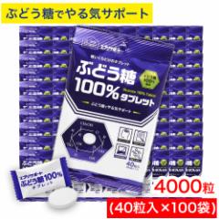 Ԃǂ 100^ubg 4000i40~100܁j Ԃǂ100z GuT|[g