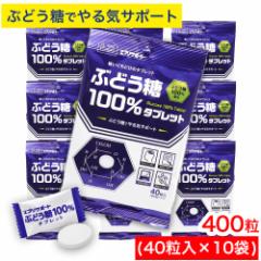 Ԃǂ 100^ubg 400i40~10܁j Ԃǂ100z GuT|[g