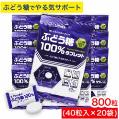 Ԃǂ 100^ubg 800i40~20܁j Ԃǂ100z GuT|[g