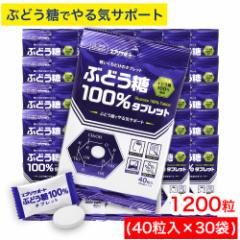 Ԃǂ 100^ubg 1200i40~30܁j Ԃǂ100z GuT|[g