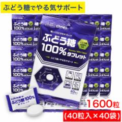 Ԃǂ 100^ubg 1600i40~40܁j Ԃǂ100z GuT|[g