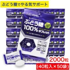 Ԃǂ 100^ubg 2000i40~50܁j Ԃǂ100z GuT|[g