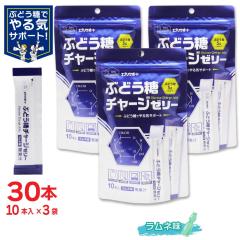 �Ԃǂ��� �`���[�W�[���[ �����l�� 30�{(10�{�� �~3��) ���ʏ` � �u�h�E�� �[���[ �G�u���T�|�[�g