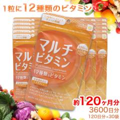 }`r^~ ^ubg 120 ~30 11ڈ Tvg 12ނ̃r^~ rI` h{@\Hi