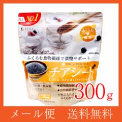 �`�A�V�[�h �X�[�p�[�t�[�h 300g �t�@�C�� ���[���֑������� �䂤�p�P�b�g 
