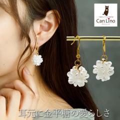 �܂�ŋ������̂悤�ȃt�����[�{�[�����h���� �����A�����M�[�Ή� �X�e�����X�� �t �� ��Ԃ� �؂₩