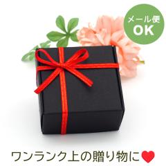 y[։zbsO Mtg  {  킢 ANZT[ sAX   bh 