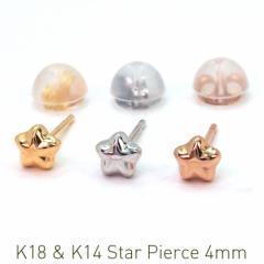 sAX ZJhsAX  K18 K14  X^[ 4mm 0.65mm 9mm AM[Ή 18 14i18K YG 18K PG 14K WGjSi1