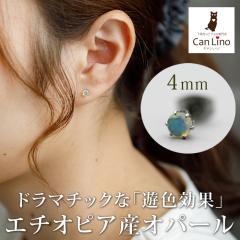 G`IsAY Ip[ ЂƗ sAX ZJhsAX ςȂ 4mm AM[Ή T[WJ XeXyRadiantza V