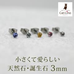  sAX AM[ ςȂ  T[WJ XeX ZJhsAXyRadiantz a VR 3mm Ў  sN