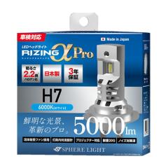新品未開封　日産 エルグランド ニスモ E52 カーボンピラーガーニッシュ auto-craft_nismo-exter-0203