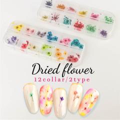 �l�C�� �p�[�c �� ������ 12�F�Z�b�g �h���C�t�����[ ���[�P�[�X�t�� 5���� ���[�X�� �W�F���l�C�� ���W�� �f�R