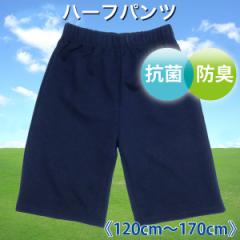 ̑ ̑ n[tpc [֑  LbY WjA 120cm 130cm 140cm 150cm 160cm 170cm