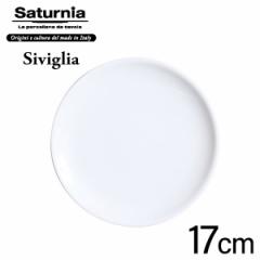 Saturnia Siviglia ubhv[g 17 (L-6) rXg o gbgA T^jA VrA D2311