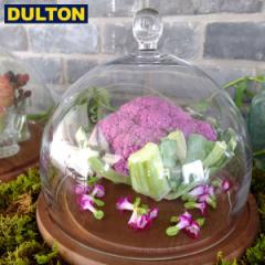 DULTON GLASS DOME MIRROIRS M (iԁFSG794WS) _g C_XgA AJ Be[W jO OXh[ ~[ M