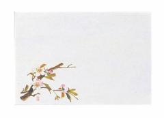 マイン 四季紙･千寿(100枚入) 桜M30-205