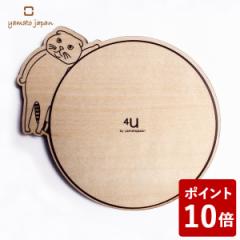 }gH| coaster-CAT- R[X^[ XReBbVtH[h YK17-101 yamato japan