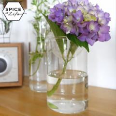 SPICE OF LIFE BULB VASE ͔|KXx[X NA V[g KEGY4060 ԕr XpCX