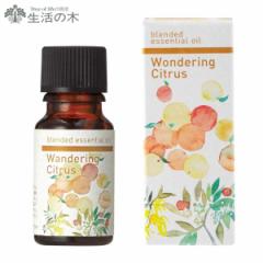 ̖ uh _OVgX 10ml/Wondering citrus (L-1) D2308