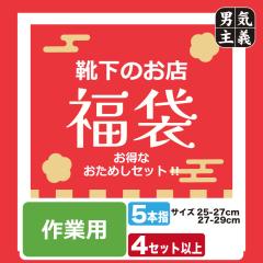 ���� �C�� �����Y ��Ɨp ���܂��� �ܖ{�w�^�C�v 12���ȏ� �ϋv���̍������[�N�\�b�N�X���l�߂������ȃp�b�N