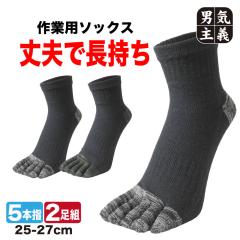 �R�� 5�{�w �����Y 2���g �x�m��� �V���[�g�� �ܖ{�w�R�� 25cm-27cm �ȍ� �z�� ��v ����Ȃ� �X�j�[�J�[�� ����Ԃ��� ���[�N�\�b�N�X 