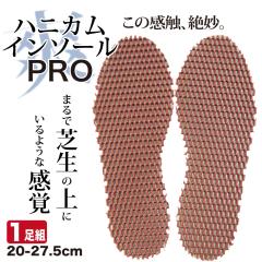 �C���\�[�� �n�j�J���\�� �N�b�V�����C���\�[���v�� 1�� ���ɂ��ď���ɂ��� �ۘa�P�~�J��